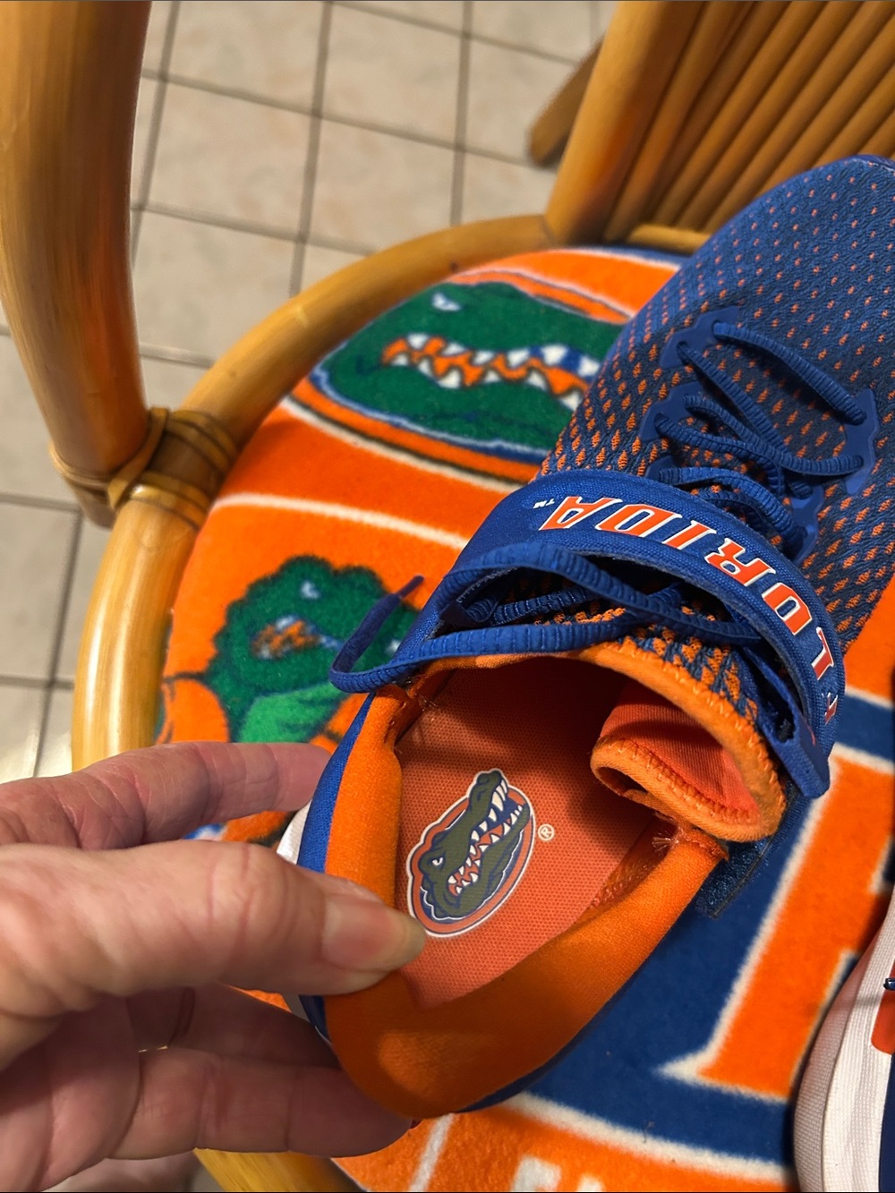 Florida gators - Picture 7 of 9